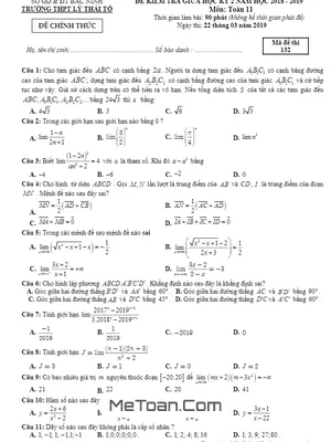 Đề kiểm tra giữa kỳ 2 Toán 11 năm 2018 - 2019 trường Lý Thái Tổ - Bắc Ninh