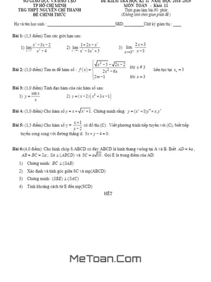 Đề thi HK2 Toán 11 năm 2018 - 2019 trường THPT Nguyễn Chí Thanh - TP HCM