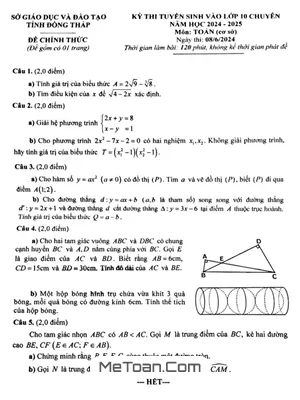 Đề thi Tuyển sinh Lớp 10 Chuyên Toán (Cơ sở) Sở GD&ĐT Đồng Tháp Năm học 2024 - 2025