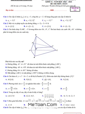 Đề khảo sát lần 1 Toán 11 năm 2023 - 2024 trường THPT Đội Cấn - Vĩnh Phúc