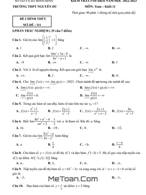 Đề thi HK2 Toán 11 năm 2022 - 2023 trường THPT Nguyễn Du - Bình Định