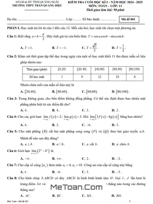 Tải Đề thi Cuối kì 1 Toán 11 năm 2024 – 2025 THPT Trần Quang Diệu, Quảng Ngãi (Có Đáp Án)