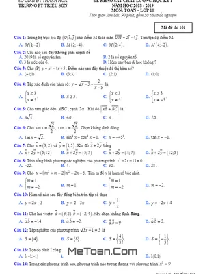 Đề thi HK1 Toán 10 năm 2018 - 2019 trường PT Triệu Sơn - Thanh Hóa