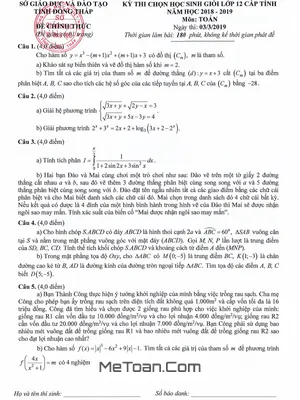 Đề thi HSG Toán 12 cấp tỉnh Đồng Tháp năm 2018 - 2019 có lời giải