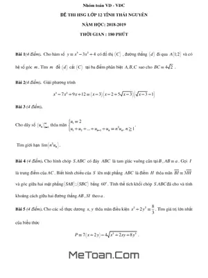 Đề thi chọn học sinh giỏi cấp tỉnh Toán 12 năm 2018 - 2019 sở GD&ĐT Thái Nguyên