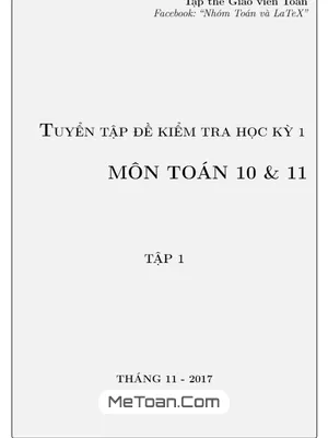 Tuyển Tập Đề Kiểm Tra Học Kỳ I Môn Toán 10 Và 11 - Nhóm Toán Và Latex (Tập 1)