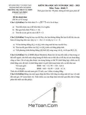 Đề học kì 1 Toán 9 năm 2022 – 2023 trường Emasi Vạn Phúc – TP HCM