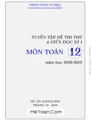 Tuyển Tập Đề Thi Thử Và Giữa Học Kỳ 1 Toán 12 Năm Học 2018 - 2019 (EX3 - 2019)