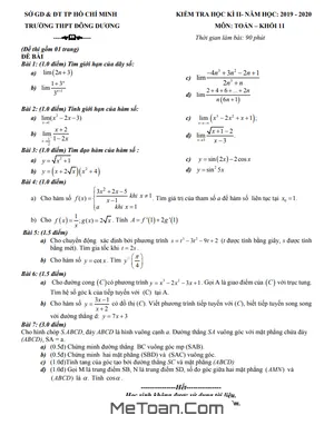 Đề Thi Học Kì 2 Toán 11 Năm 2019 - 2020 Trường THPT Đông Dương - TP.HCM