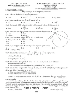 Đề kiểm tra chất lượng cuối năm Toán 9 năm 2018 - 2019 sở GD&ĐT Bắc Ninh