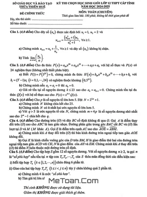 Đề thi học sinh giỏi tỉnh Toán 12 chuyên năm 2024 - 2025 sở GD&ĐT Thừa Thiên Huế