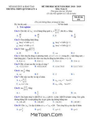 Đề thi HK2 Toán 11 năm 2018 - 2019 trường THPT Quỳnh Lưu 4 - Nghệ An