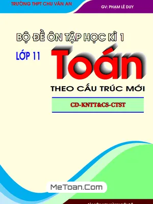 Bộ Đề Ôn Tập Kiểm Tra Cuối Học Kì 1 Môn Toán 11 Theo Cấu Trúc Mới