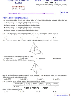 Đề thi cuối kỳ 1 Toán 11 năm 2024 - 2025 trường THPT Nguyễn Trãi, Quảng Bình (Có đáp án)