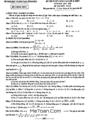 Đề thi Toán vào lớp 10 Vĩnh Phúc năm 2024 - 2025 - THCS MeToan.Com