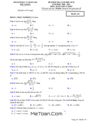 Đề kiểm tra cuối học kỳ 2 Toán 11 năm 2020 - 2021 sở GD&ĐT Bắc Giang