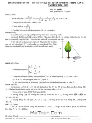 Đề thi thử Toán vào lớp 10 lần 1 năm 2024 - 2025 trường THPT Sơn Tây - Hà Nội