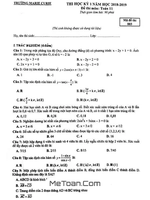 Đề thi học kỳ 1 Toán 11 năm 2018 – 2019 trường THPT Marie Curie – Hà Nội