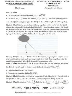 Đề Thi HSG Toán 12 Năm 2024 - 2025 Trường THPT Lương Ngọc Quyến - Thái Nguyên
