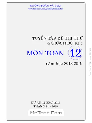 Tuyển Tập Đề Thi Thử Và Giữa Học Kỳ 1 Toán 12 Năm Học 2018 - 2019 (EX2 - 2019)