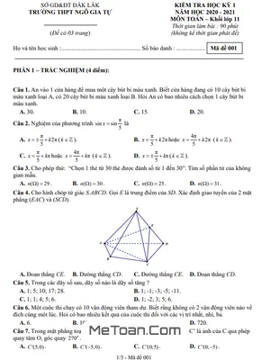 Đề thi HK1 Toán 11 năm 2020 – 2021 trường THPT Ngô Gia Tự – Đắk Lắk