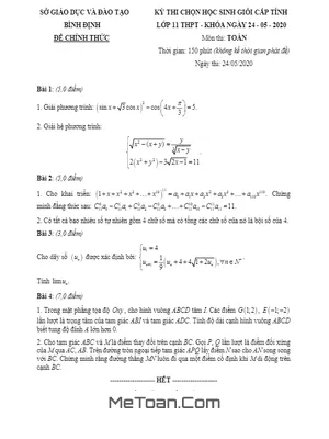 Đề thi HSG Toán 11 cấp tỉnh năm 2019 - 2020 Sở GD&ĐT Bình Định