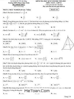 Đề thi học kì 2 Toán 11 năm 2022 - 2023 trường THPT Phan Châu Trinh - Đà Nẵng