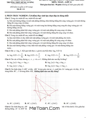 Đề Thi Giữa Kỳ 2 Môn Toán Lớp 11 Năm 2023 - 2024 Trường THPT Hùng Vương - Bình Định