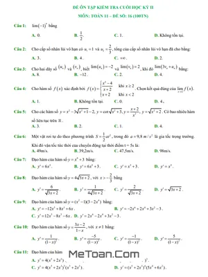 11 Đề Ôn Tập Kiểm Tra Cuối Kỳ 2 Môn Toán 11 (100% Trắc Nghiệm)