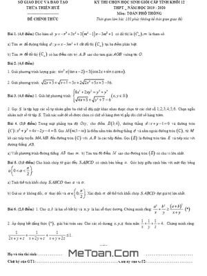 Đề thi chọn HSG tỉnh Toán 12 năm 2019 - 2020 sở GD&ĐT Thừa Thiên Huế