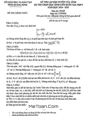 Đề Lập Đội Tuyển Thi HSG QG Môn Toán THPT Năm 2024 - 2025 Sở GD&ĐT Quảng Ninh