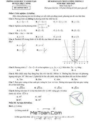 Đề khảo sát tháng 2 Toán 9 năm 2024 - 2025 phòng GD&ĐT Trực Ninh - Nam Định