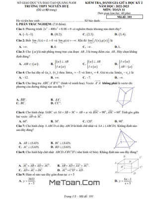 Đề thi giữa kì 2 Toán 11 năm 2022 - 2023 trường THPT Nguyễn Huệ - Quảng Nam