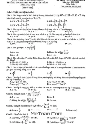 Đề Thi Giữa Kỳ 2 Toán 11 Năm 2021 - 2022 Trường Nguyễn Tất Thành - Hà Nội