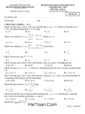 Đề thi học kỳ 2 Toán 11 năm 2019 - 2020 trường PTDT nội trú Thái Nguyên