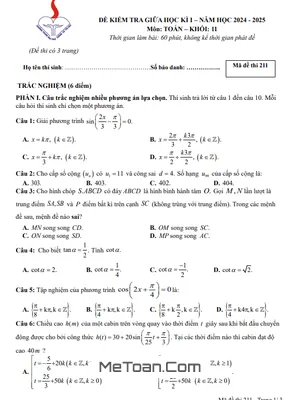 Đề Thi Giữa Học Kì 1 Toán 11 Năm 2024 - 2025 Trường THPT Võ Thị Sáu - TP HCM