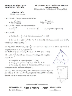 Đề thi học kì 2 môn Toán lớp 11 năm 2019 - 2020 trường THPT Tân Túc - TP.HCM (có đáp án)