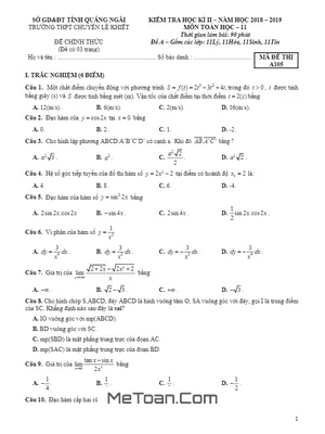 Đề thi HK2 Toán 11 năm 2018 - 2019 trường chuyên Lê Khiết - Quảng Ngãi