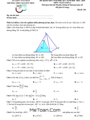 Đề Thi Cuối Kì 1 Toán 11 Năm 2024 - 2025 Trường THPT Nguyễn Trãi - Thái Bình