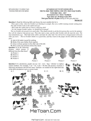 Đề Thi Tuyển Sinh Vào Lớp 6 Trường Trần Đại Nghĩa Năm 2016 - Phần Trắc Nghiệm