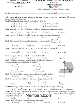 Đề giữa học kỳ 1 Toán 10 năm 2024 - 2025 trường THPT Nguyễn Du - Thái Bình