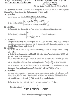 Đề Thi HSG Toán 11 Cấp Trường Năm 2019 - 2020 Trường Nguyễn Đăng Đạo - Bắc Ninh