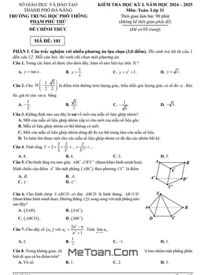 Đề Học Kỳ 1 Toán 11 Năm 2024 - 2025 Trường THPT Phạm Phú Thứ - Đà Nẵng