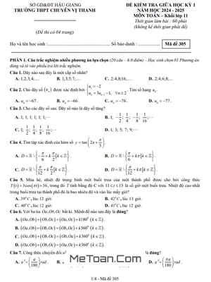 Đề Thi Giữa Kỳ 1 Toán 11 Năm 2024 - 2025 Trường THPT Chuyên Vị Thanh - Hậu Giang