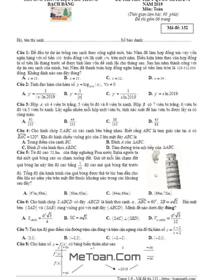 Đề thi thử Toán THPT Quốc gia 2019 trường Bạch Đằng - Quảng Ninh lần 1 có đáp án