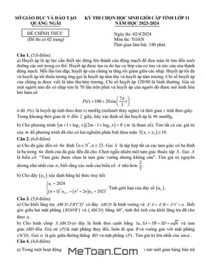Đề thi chọn học sinh giỏi cấp tỉnh môn Toán lớp 11 năm 2023 - 2024 sở GD&ĐT Quảng Ngãi