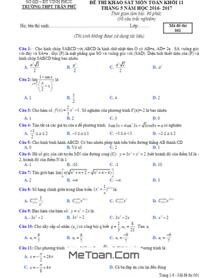 Đề khảo sát chất lượng Toán 11 tháng 5 năm 2016 - 2017 trường Trần Phú, Yên Lạc - Vĩnh Phúc