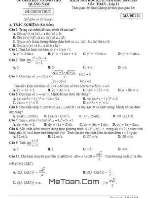 Đề thi HK2 Toán 11 năm học 2018 - 2019 sở GD&ĐT Quảng Nam