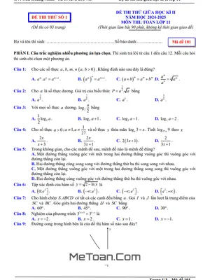 Tuyển Tập 05 Đề Thi Thử Giữa Kì 2 Môn Toán 11 Năm 2024 - 2025 Có Đáp Án