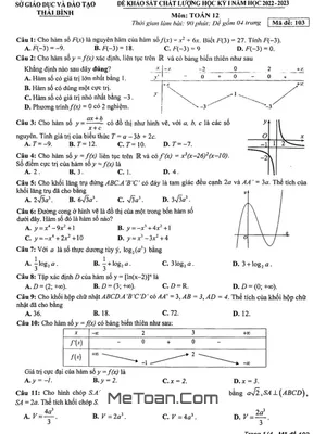 Đề thi học kỳ 1 Toán 12 năm 2022 - 2023 sở GD&ĐT Thái Bình